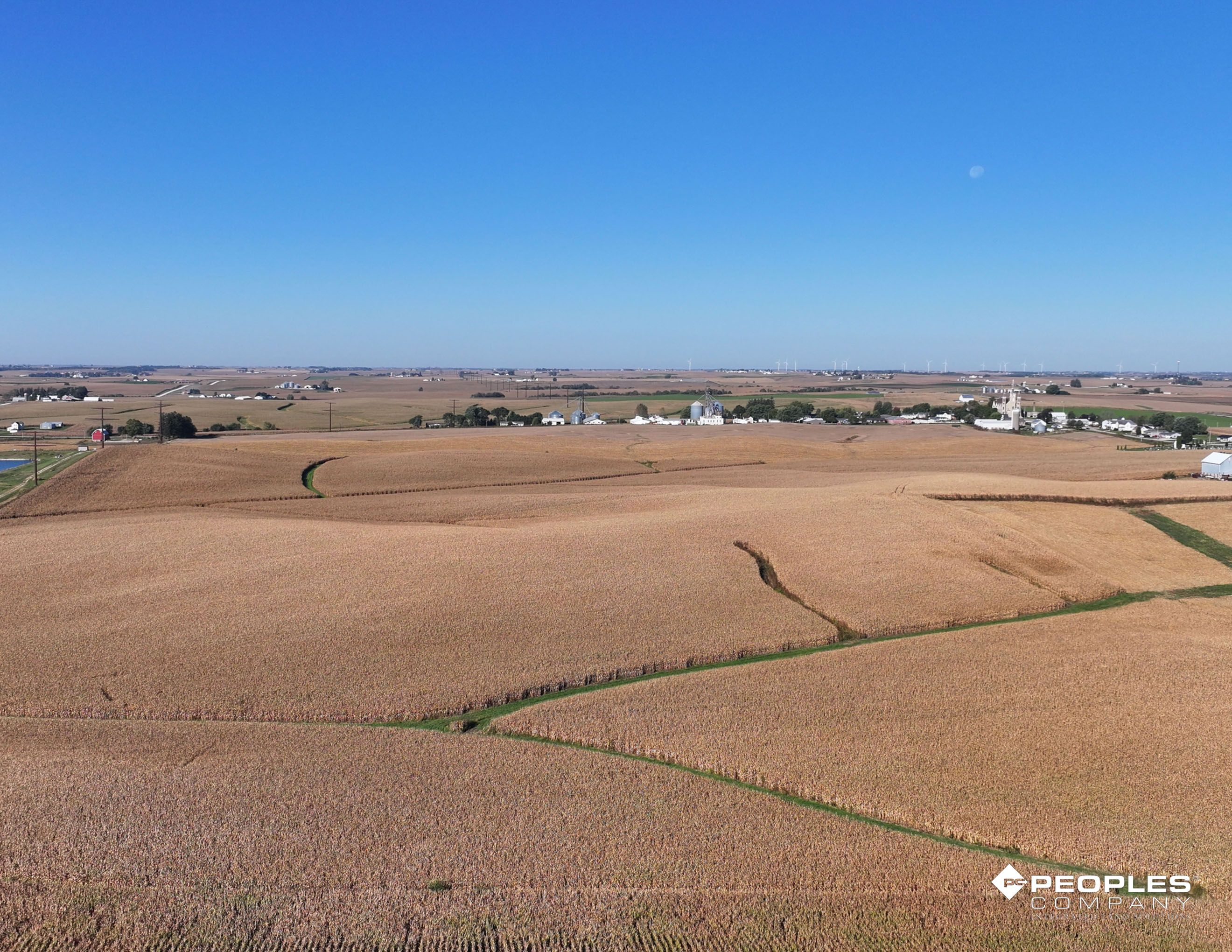 Listing Photo: Web 6